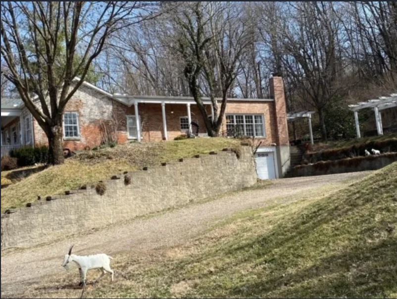 Historic home with a goat