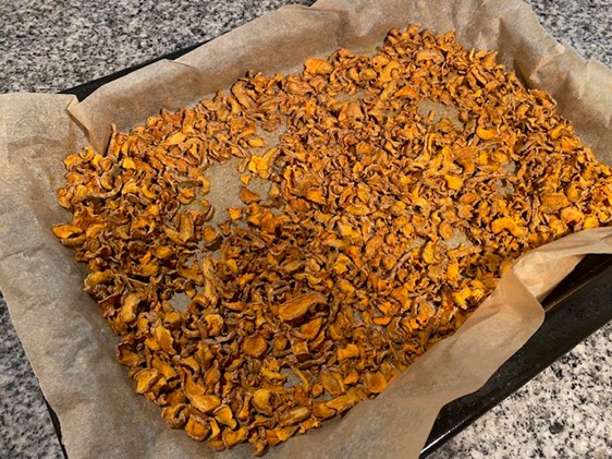 Dried slices of turmeric spread out on parchment paper in a sheet pan