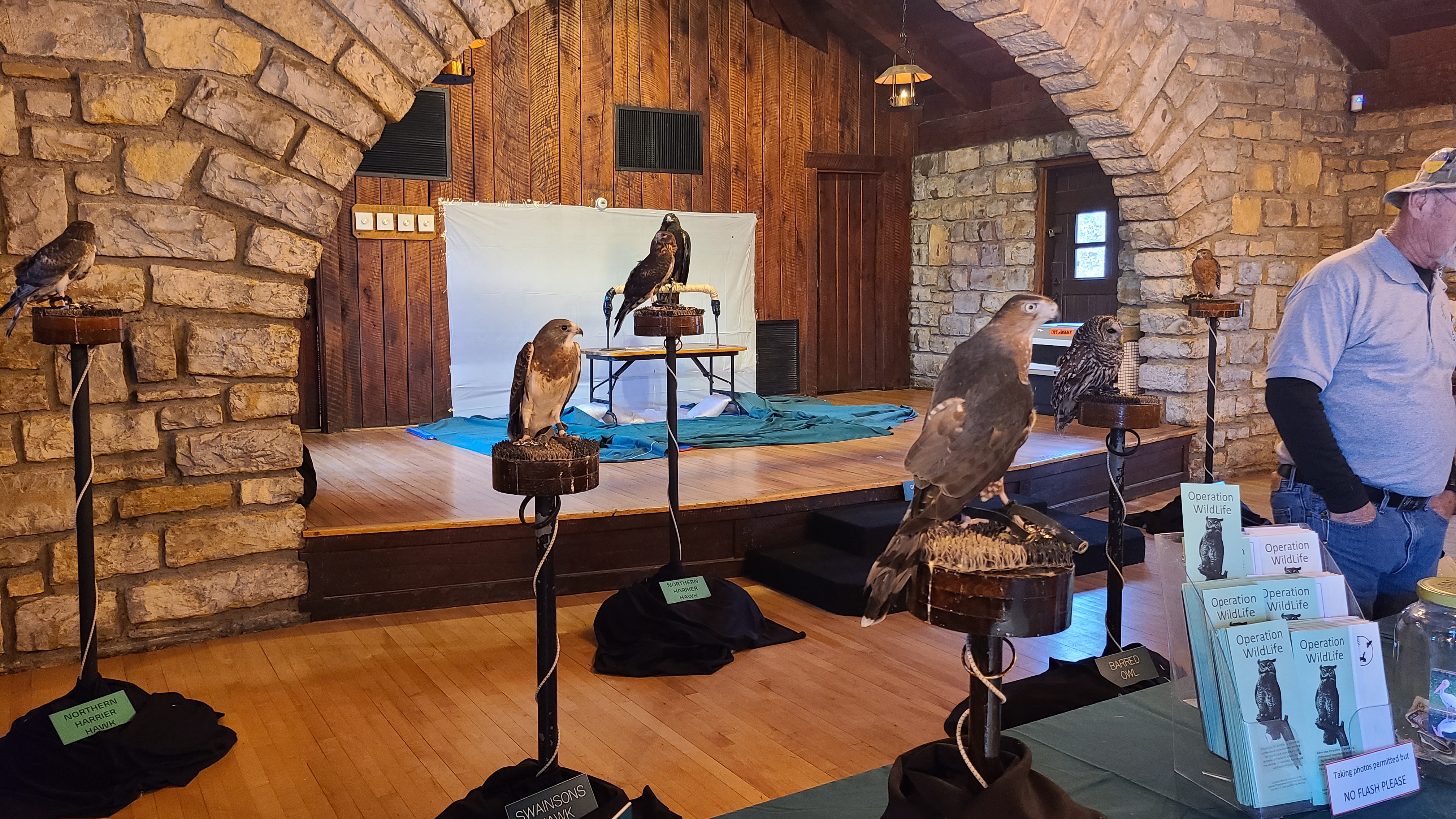 several birds of prey on display stands inside a stone building
