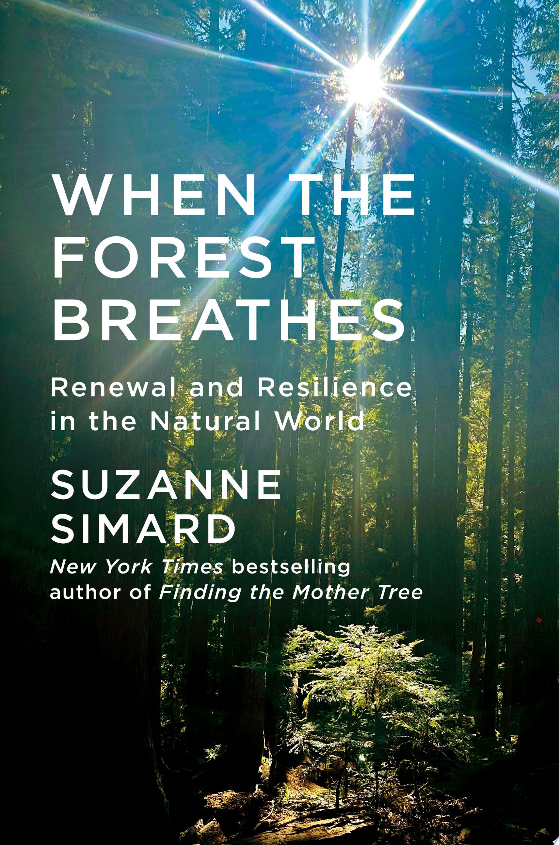 book cover for "When the Forest Breathes"