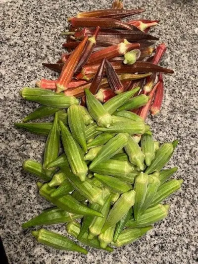 Culinary Literacy: Okra