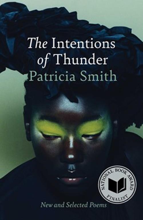 book cover for "The Intentions of Thunder"