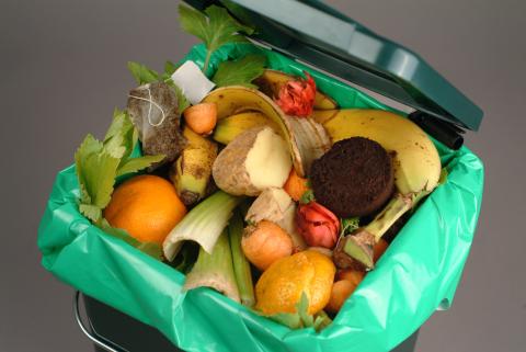 Fruits, vegetables, and other food waste overflowing in a trash can