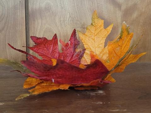 Bowl made from autumn-colored silk leaves sitting on a wood case