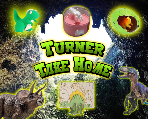 A graphic of take-home crafts that are Clay Dinosaur, Dino Hatching, Egg  DIY Dinoclaw, and   3D Wood Dinosaur.