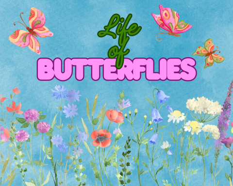A graphic showing flowers with butterflies flying around them.