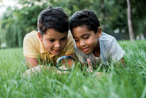 two children laying on their stomachs and elbows in the grass looking through a magnifying glass close to the grass