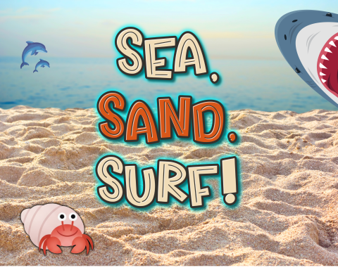 A picture of a beach with jumping dolphins, a hermit crab, and a shark.