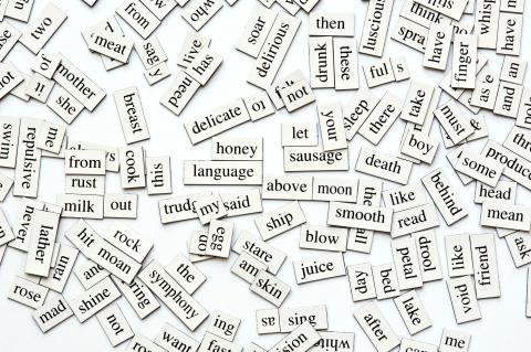 Magnetic poetry words