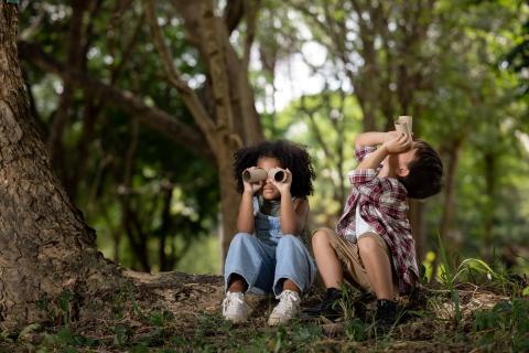 two children sitting in the woods looking through binoculars made from toilet paper rolls