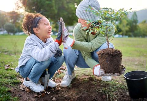 A child and an adult high fiving as the adult holds a tree about to be planted in dirt