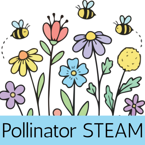 Multicolored Garden with Bees around it and the title Pollinator STEAM