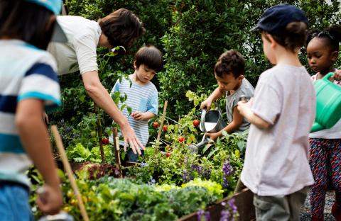 children working in an outdoor garden with an adult
