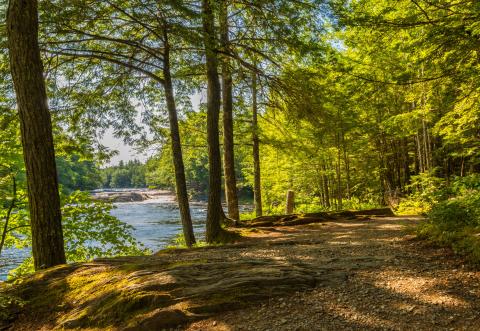 A picture showing a dirt walking path with the lake and a forest to the side.