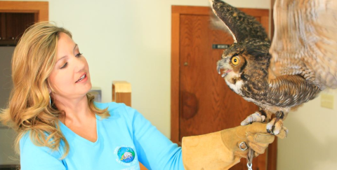 Ernie Miller staff member holding a bird of pray that has its wings spread as if to take flight.