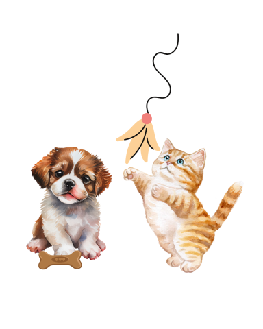 Puppy with bone, kitten with toy