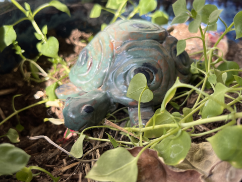 a clay turtle that is green that is surrounded by plants outside.