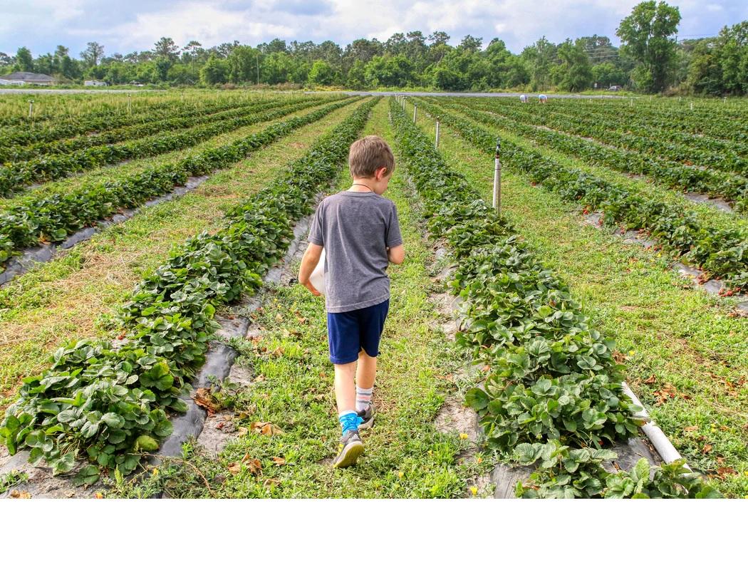 Photo by Mick Haupt on Unsplash