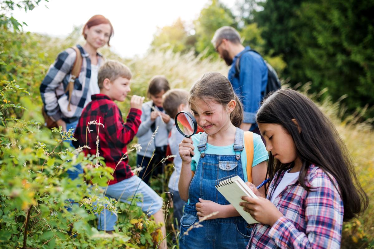 Children learning about nature. 