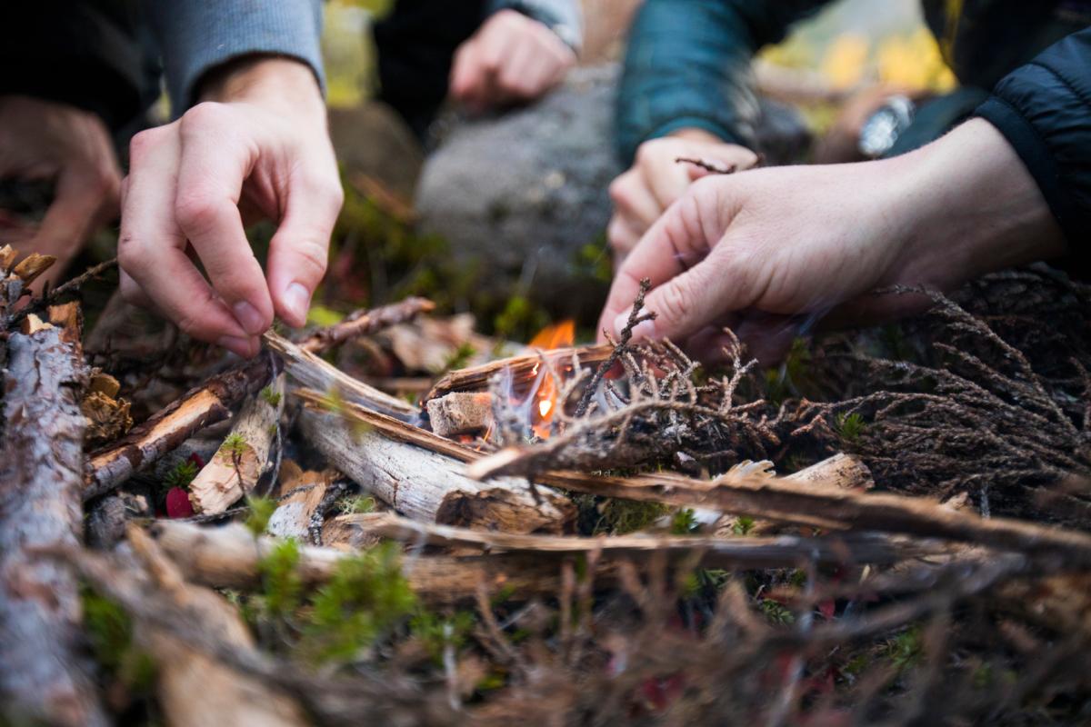 Many hands work together to create a small campfire. 
