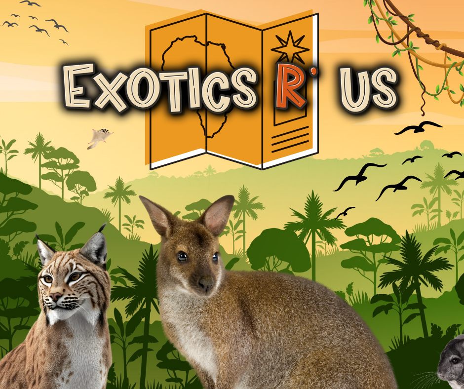 Photo of exotic animals with the text Exoticcs R Us over the top
