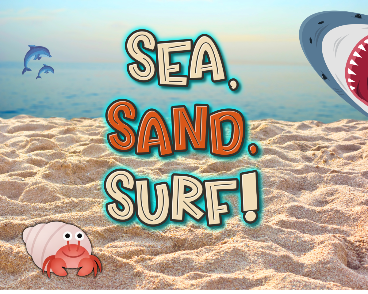 A picture of a beach with jumping dolphins, a hermit crab, and a shark.