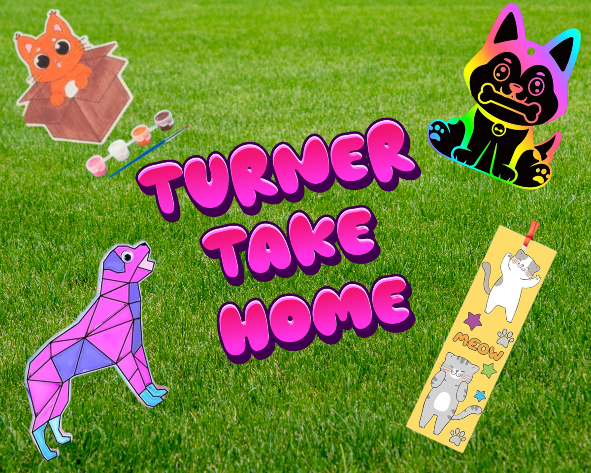 A picture showing cat and dog crafts.