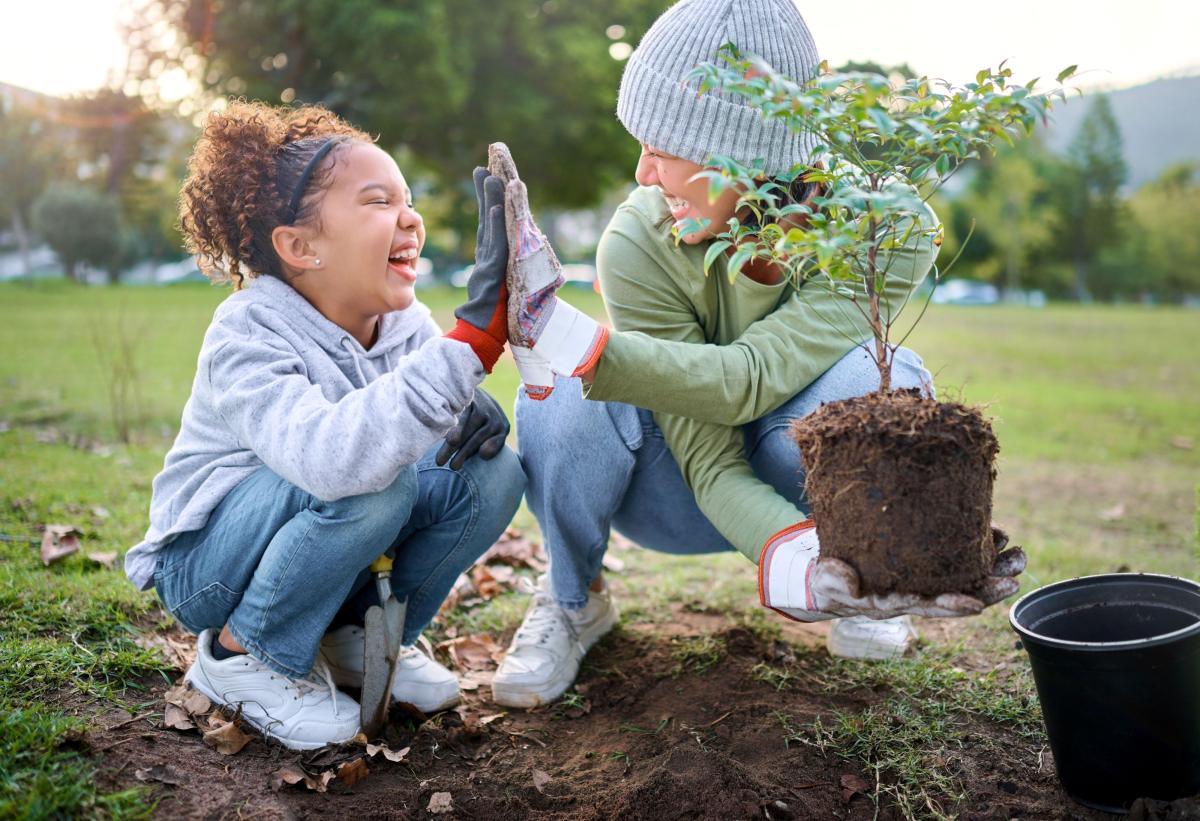 A child and an adult high fiving as the adult holds a tree about to be planted in dirt