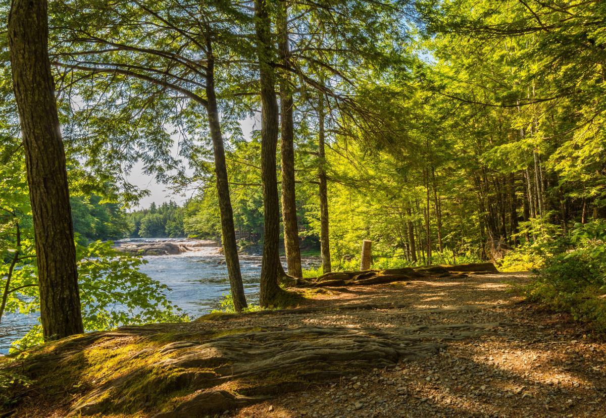 A picture showing a dirt walking path with the lake and a forest to the side.