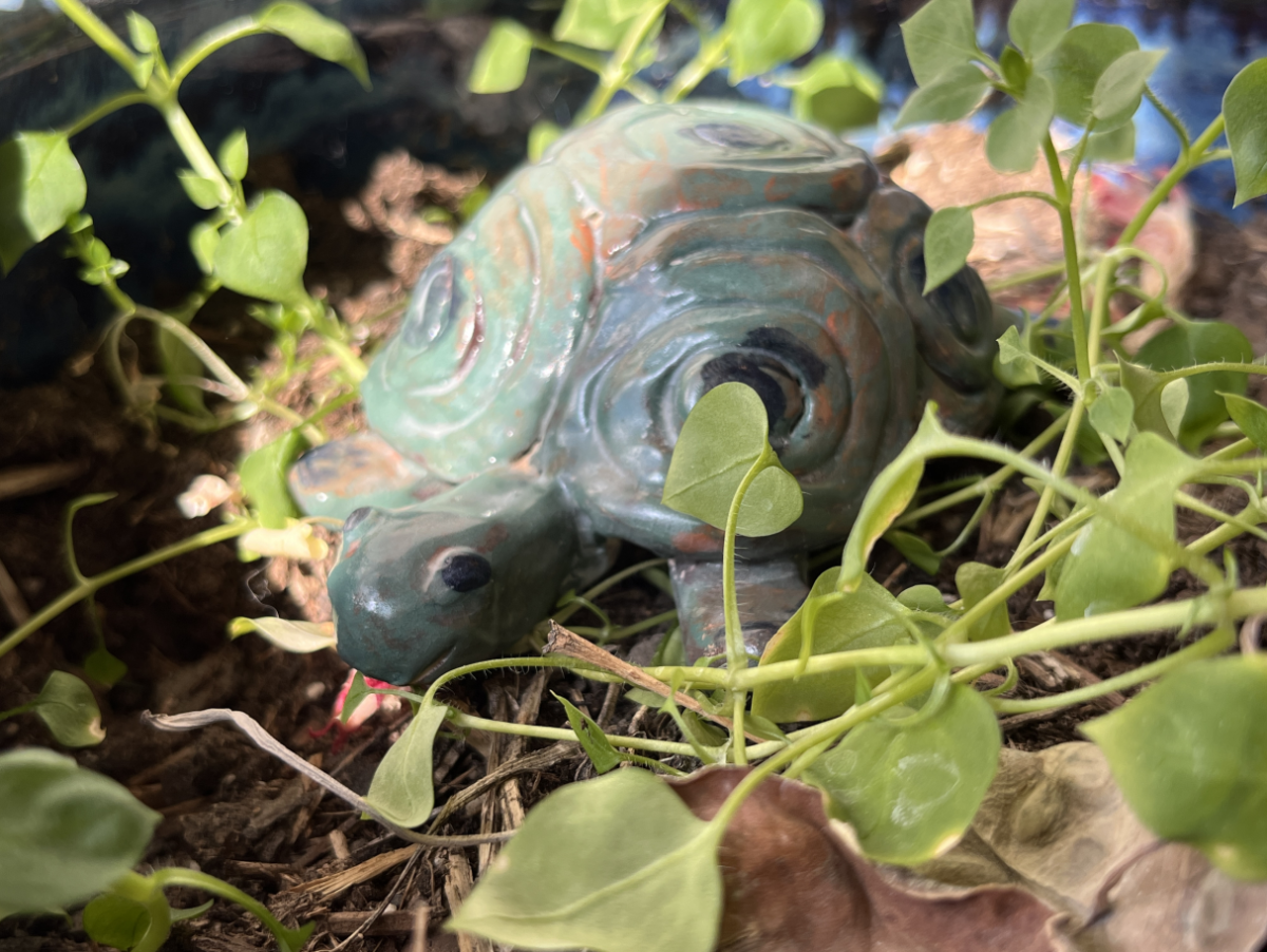 a clay turtle that is green that is surrounded by plants outside.