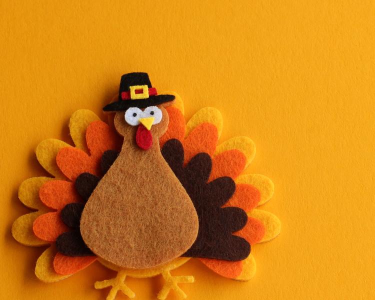 Felt turkey on an orange background